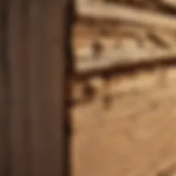 A close-up of termite damage on wooden structures