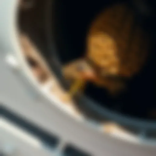 Close-up view of a wasp nest in an air conditioning unit