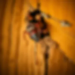 Termite damage in wooden structure