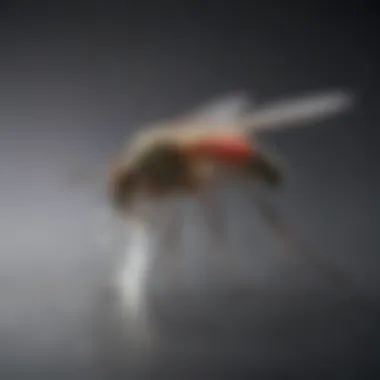 Practical application of Atrakta mosquito lure in a home environment