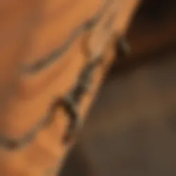 A close-up of a termite damaged wooden beam