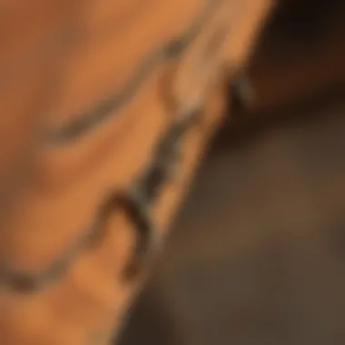 Termite Damage in Wood A close-up of a termite damaged wooden beam