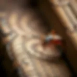 A close-up view of common household pests