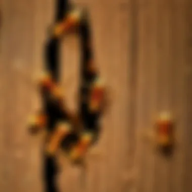 Illustration of wood damage due to carpenter ant infestation Damaged wood caused by carpenter ants