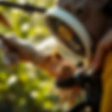 Chemical Treatment Application A professional applying chemical treatment to a hornet nest