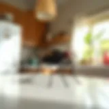 A detailed view of a common housefly on a kitchen surface.