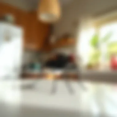 Housefly in Residential Setting A detailed view of a common housefly on a kitchen surface.