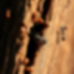 Close-up view of termite damage in wooden structure