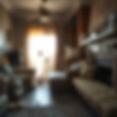 Common Pests in Lake Havasu City Infestation of common pests in a home setting