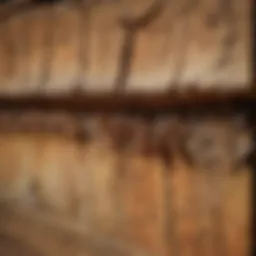 Close-up of termite damage on wood