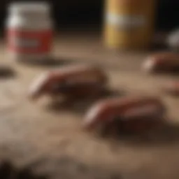 Cockroach killer bomb product display