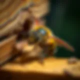 Carpenter Bee Behavior Close-up of carpenter bee entering a wooden surface