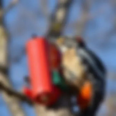 Effective Deterrents Against Woodpeckers Effective woodpecker deterrents in use