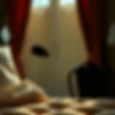 Illustration of Cyonara 9.7 application method