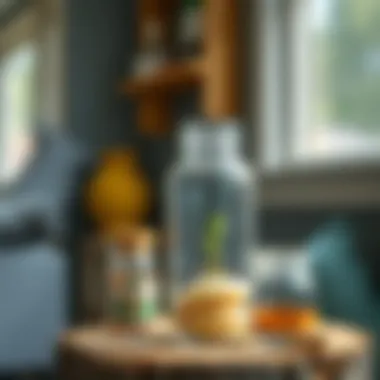 Natural pest control solutions displayed creatively