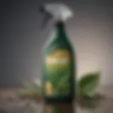 Illustration of EcoRaider Spray bottle with a leaf design