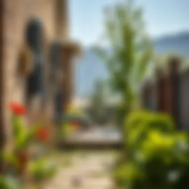 Preventative Measures Against Pests Illustration of preventative measures for keeping pests away from a home