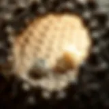 A detailed view of a patched mouse hole showing different materials used
