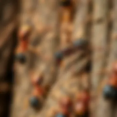 Close-up view of carpenter ants on a tree