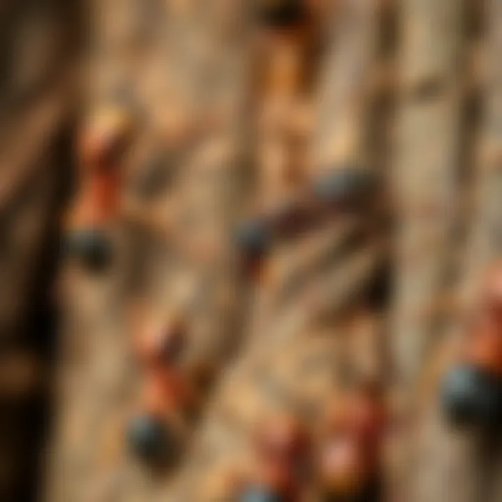 Close-up view of carpenter ants on a tree