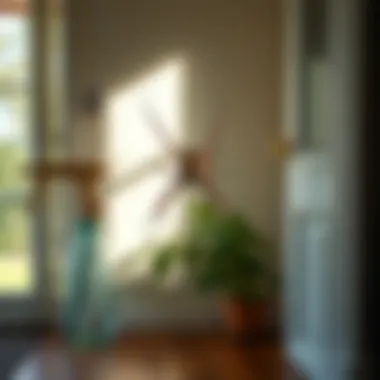 Importance of Home Maintenance in Spider Prevention A clean and well-maintained corner of a home