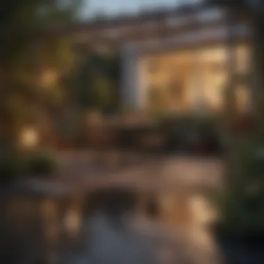 Clutter-Free Outdoor Space A well-maintained outdoor area free of clutter, promoting a spider-free environment.