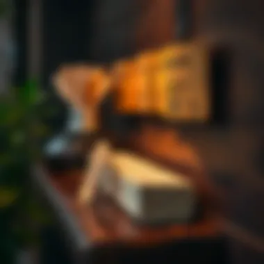 Natural remedies for pest control displayed