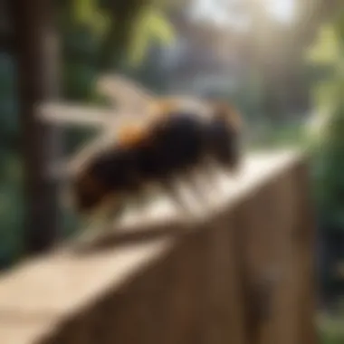 Sealed wooden structure preventing bee entry