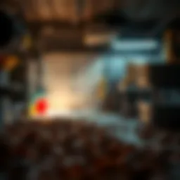 Illustration of a flea infestation in a garage setting