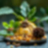 Natural Ingredients for Effective Spider Control Natural spider repellent ingredients