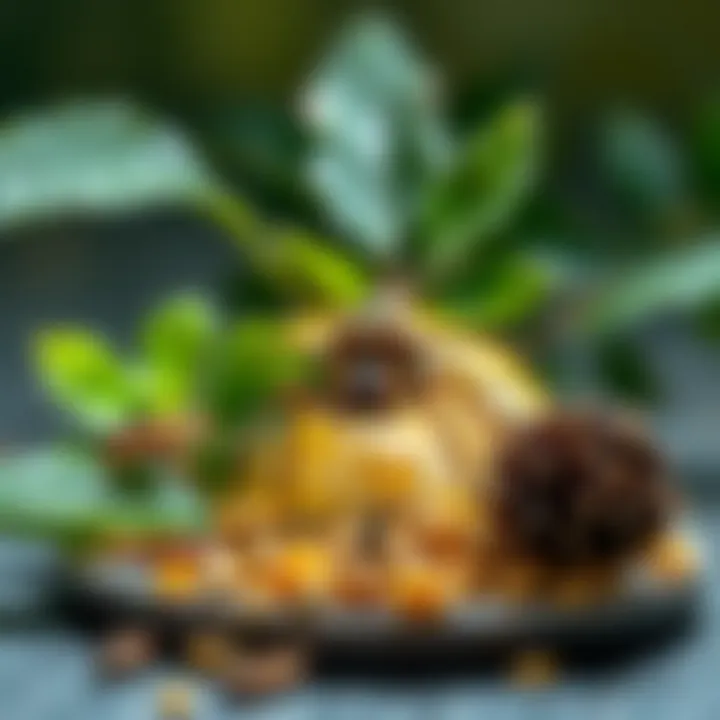 Natural Ingredients for Effective Spider Control Natural spider repellent ingredients