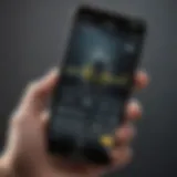 Close-up of a smartphone displaying a bug identification app interface