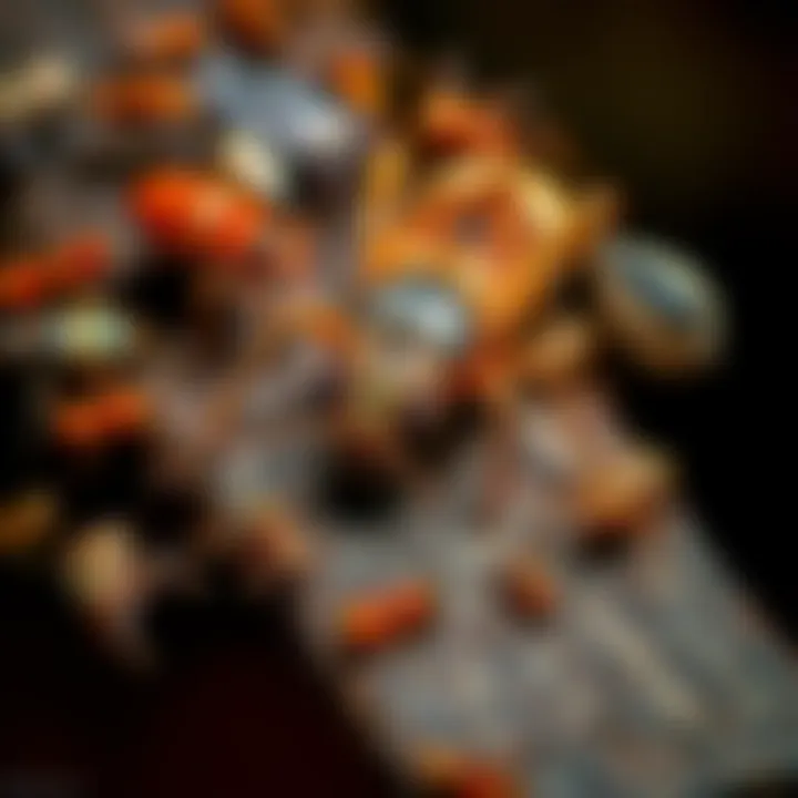 A variety of common pests found in Redding, California