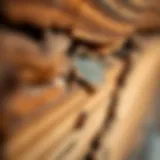 Close-up of a termite damage on wooden structure