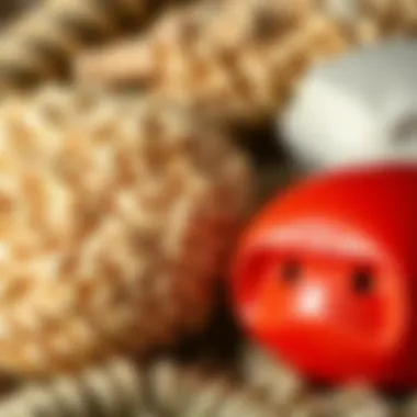 Materials suitable for basement insulation in Georgia.