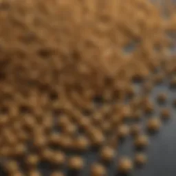 Close-up view of Golden Malrin Fly Bait granules highlighting its texture