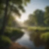 A serene view of the Grand River with lush surroundings