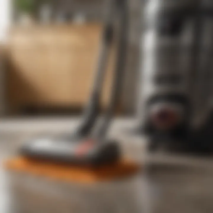 Vacuum cleaner eliminating flea eggs