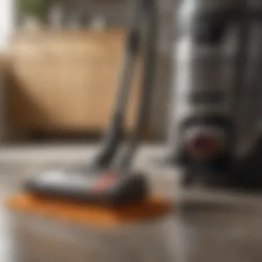 Deep Cleaning: The Role of Vacuuming in Flea Eradication Vacuum cleaner eliminating flea eggs