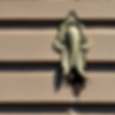 Signs of Moisture Behind Stucco Signs of moisture and damage behind stucco siding