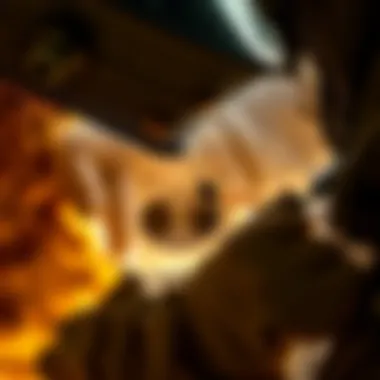 Professional Wasp Removal Strategy Professional pest control examining a wasp infestation