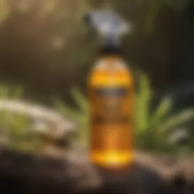 Creating Your Own Wasp Repellent Solution A spray bottle with a DIY wasp repellent solution