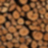 Close-up of treated firewood showing protective coating