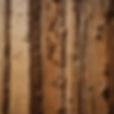 Visible Signs of Termite Damage Visible signs of termite damage on wooden structures