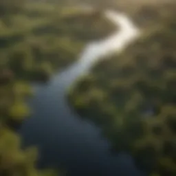 Aerial view of wetlands showcasing mosquito habitats
