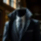 Sophisticated moth proof suit bag showcasing durable materials