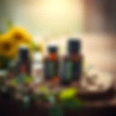 Essential Oils: Nature's Shield Against Fleas Essential oils known for flea deterrence