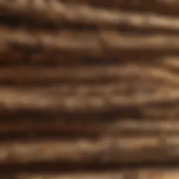 Detailed view of termite damage in wooden structures