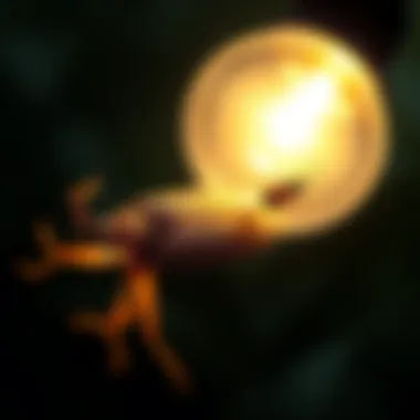 Understanding Pest Lifecycles for Effective Control A diagram showing the lifecycle of a common pest