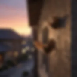 A serene residential area with bats flying at dusk